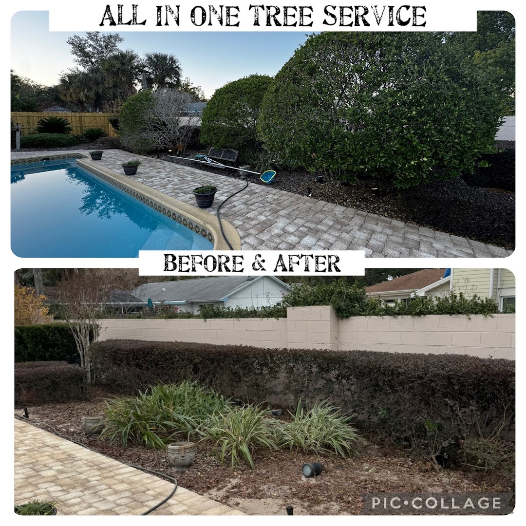 Recent work